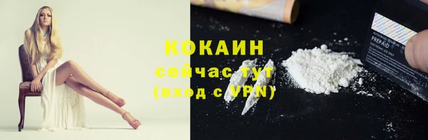спайс Арсеньев
