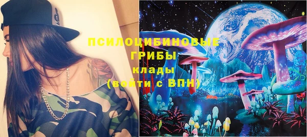 ГАЛЛЮЦИНОГЕННЫЕ ГРИБЫ Аркадак