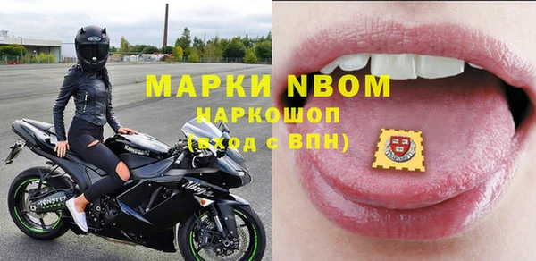 ГАЛЛЮЦИНОГЕННЫЕ ГРИБЫ Аркадак
