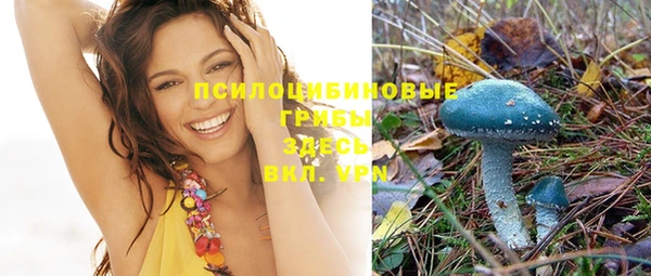 ГАЛЛЮЦИНОГЕННЫЕ ГРИБЫ Аркадак