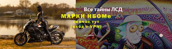 ГАЛЛЮЦИНОГЕННЫЕ ГРИБЫ Аркадак