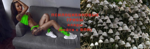 спайс Арсеньев