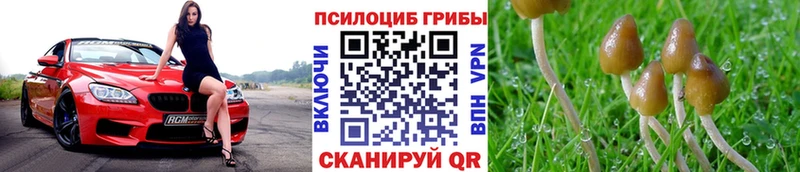 Галлюциногенные грибы мухоморы  где продают   KRAKEN сайт  Палласовка 
